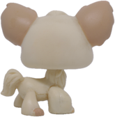 #0438 Chihuahua